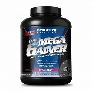 Dymatize Elite Mega Gainer, 2800 г